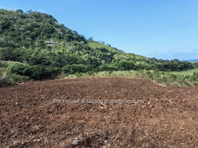 Terrain agricole à vendre à Surinam -  La Martinière avec vue mer