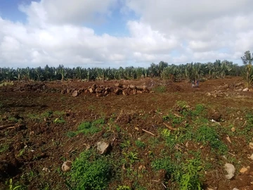 Terrain Agricole