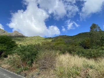 Terrain