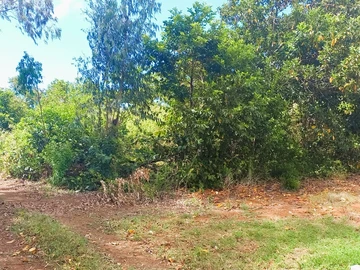 Agricultural Land