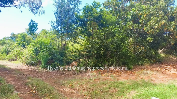 Agricultural Land For Sale In Mare D'Albert
