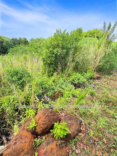 Terrain Résidentiel À Vendre À Pont Praslin
