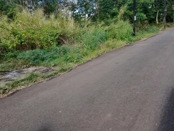 Land