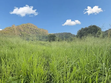 Terrain