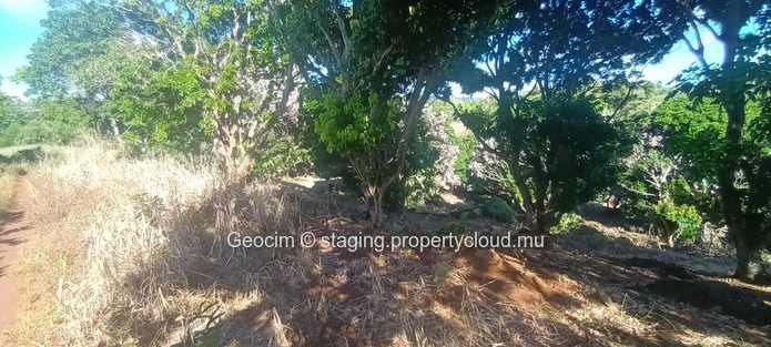 D'Epinay close to Pamplemousse Agricultural freehold plot of land 18572 sqm. River. Lichtis plantation. Water & Elect... (Sole Mandate)