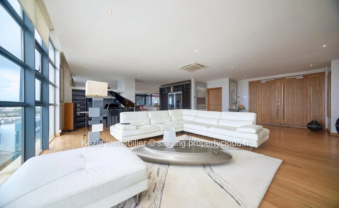 Luxury Penthouse
