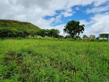 Terrain Agricole