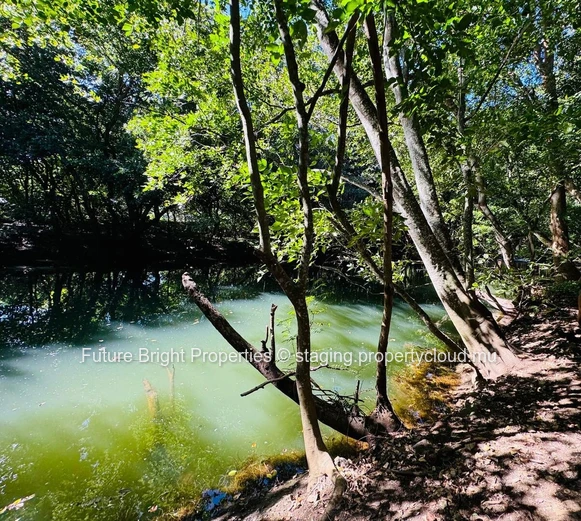 Superbe Terrain à Vendre dans le Domaine TEREMINALIA – Morcellement Belouguet