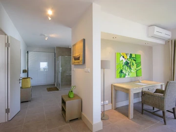 4 Bedroom Penthouse