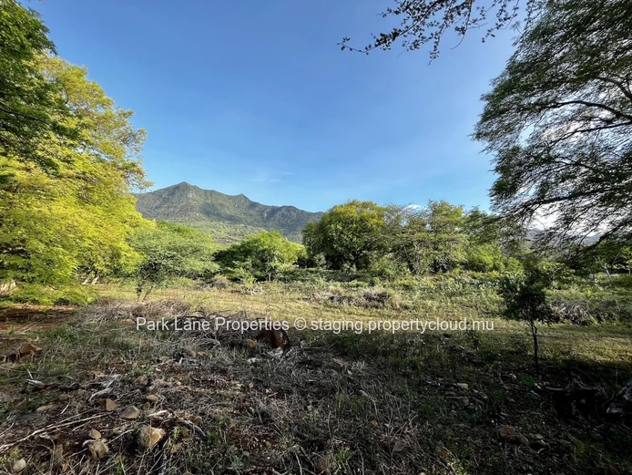 For Sale – Exceptional 1,709 m² Residential Plot in Petite Rivière Noire