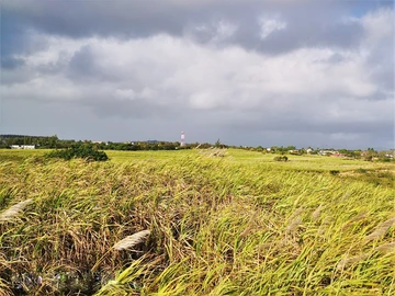 Terrain
