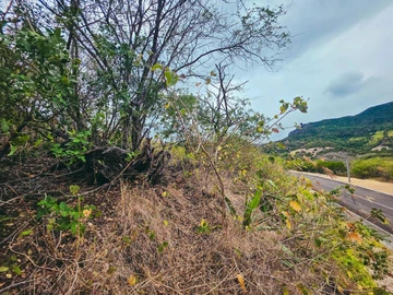 Residential Land