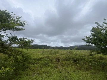 Terrain Résidentiel