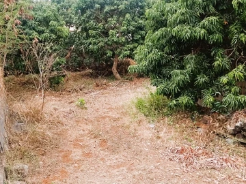 Residential Land