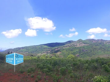 Terrain