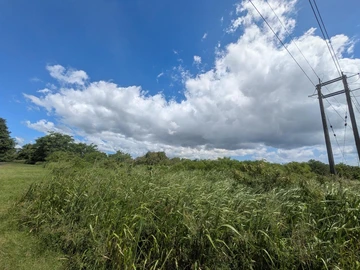 Agricultural Land