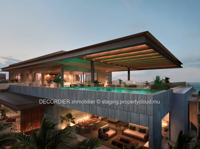 Modern penthouse for sale