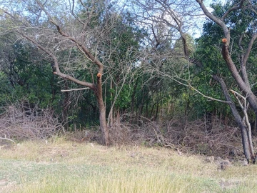Residential Land