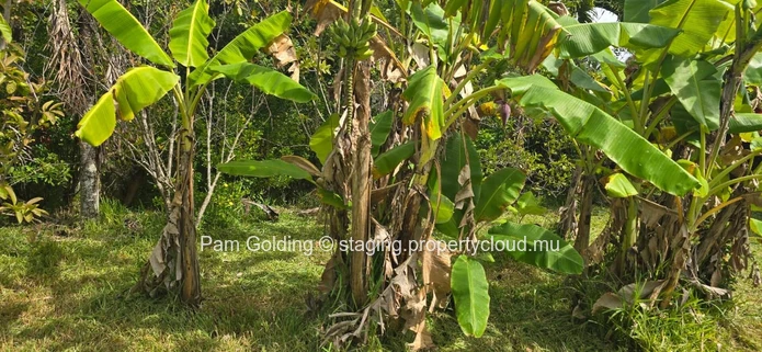 Piton – Land for sale – Pam Golding Mauritius