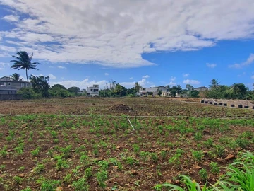 Land