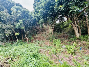 Agricultural Land