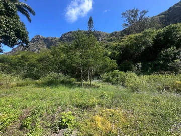 Residential Land