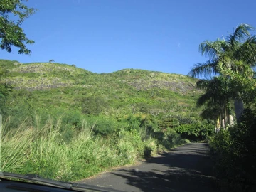 Terrain