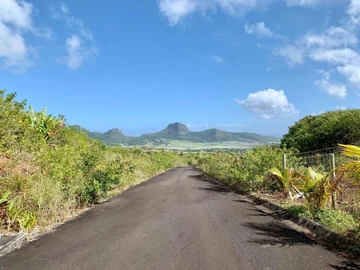 Agricultural Land