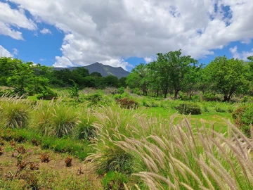 Residential Land