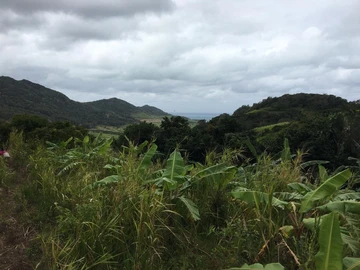 Agricultural Land