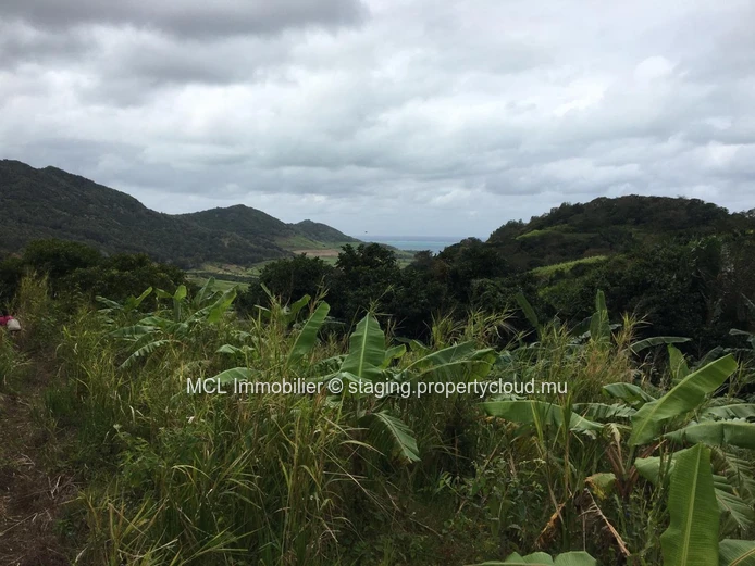 Terrain agricole de 9 arpents 42 perches  à Anse Jonchée