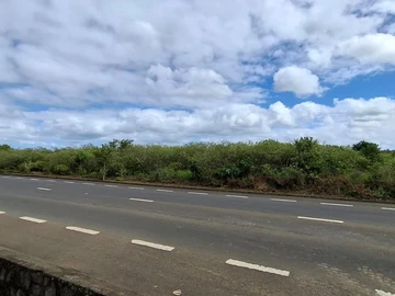 Commercial Land