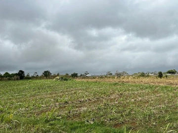 Agricultural Land