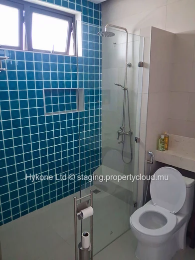 Appartement À Vendre À Curepipe