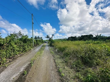 Residential Land