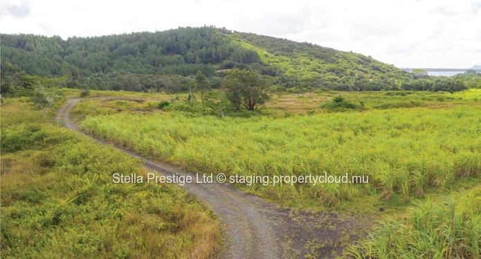 Terrain agricole étendu avec vue sur la montagne à Curepipe, Midlands - 1.689m² pour Rs 1.7M!