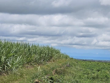 Agricultural Land