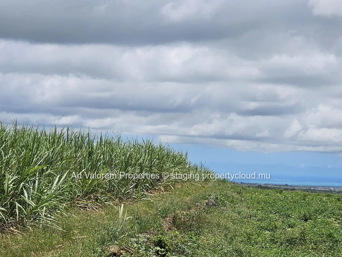 Terrain agricole à vendre à Britannia, Bois Chéri. 14.002m². Prix :