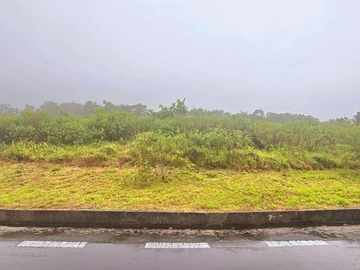 Terrain