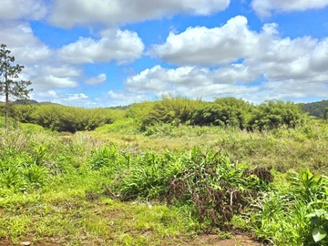 Land