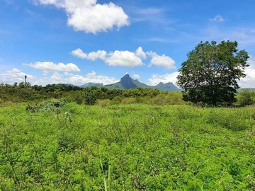Land