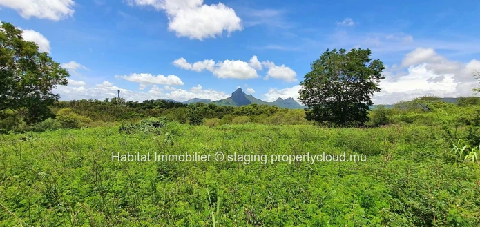 A VENDRE - Terrain unique de 7 arpents relié à la rivière de Tamarin a des dimensions généreuses pour un développemen...