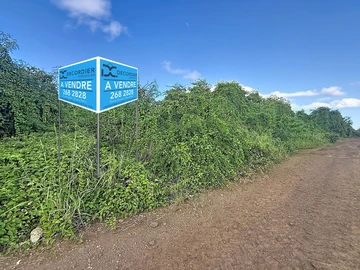 Land