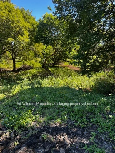 ?? Exceptional Plot of Land – Domaine de Palmyre, Rivière Noire