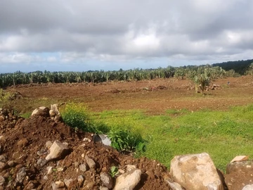 Terrain Agricole