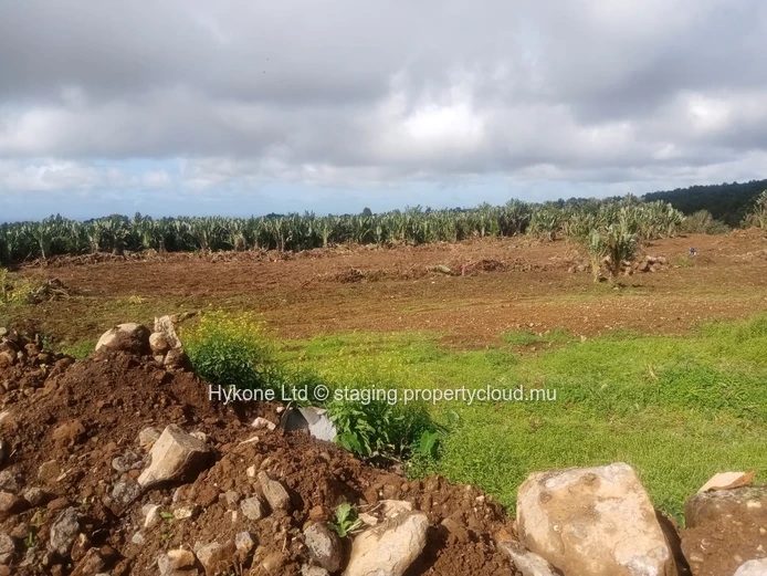 Terrain Agricole En Vente À Beau Climat