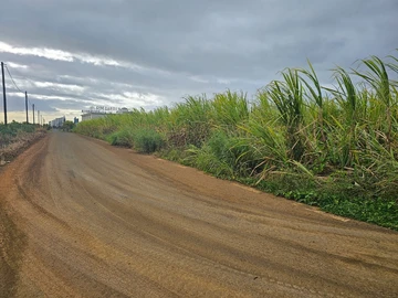 Terrain