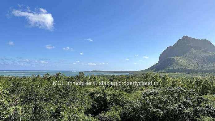 Terrain Agricole de 12 arpents à vendre au Morne