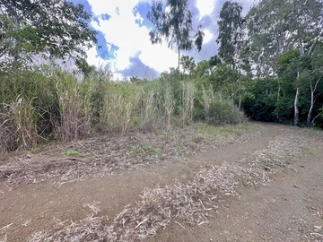 Agricultural Land