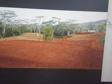Agricultural Land